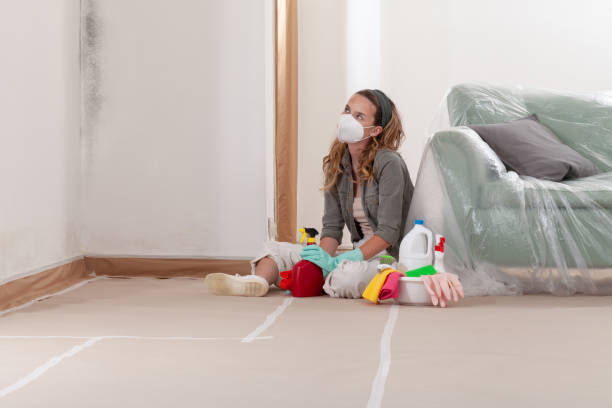 Reliable Black Mold Removal contractor in Royersford, PA by WQB Mold Removal
